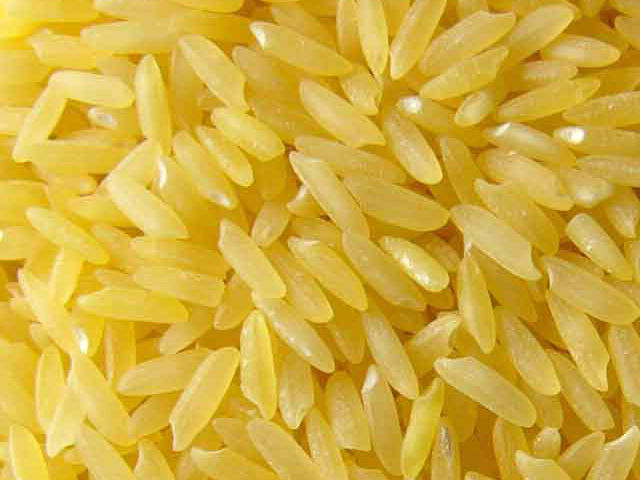 golden rice What is golden rice golden rice is a genetically engineered variety of rice (oryza sativa)it has been modified by inserting a gene from maize and a gene from bacteria found in soil which allows the plant to biosynthesise beta-carotene in the edible parts of rice. golden rice What is golden rice golden rice is a genetically engineered variety of rice (oryza sativa)it has been modified by inserting a gene from maize and a gene from bacteria found in soil which allows the plant to biosynthesise beta-carotene in the edible parts of rice.